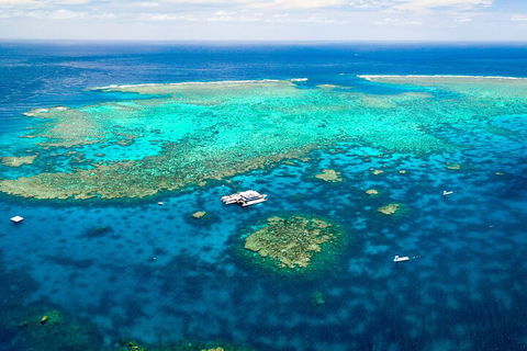 Quicksilver Outer Great Barrier Reef Snorkel Cruise From Palm Cove - Lightning Ridge Tourism 4