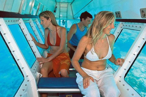 Quicksilver Outer Great Barrier Reef Snorkel Cruise From Palm Cove - Lightning Ridge Tourism 5