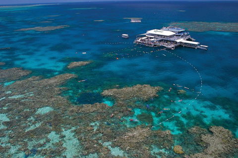 Quicksilver Outer Great Barrier Reef Snorkel Cruise From Port Douglas - Lightning Ridge Tourism 3