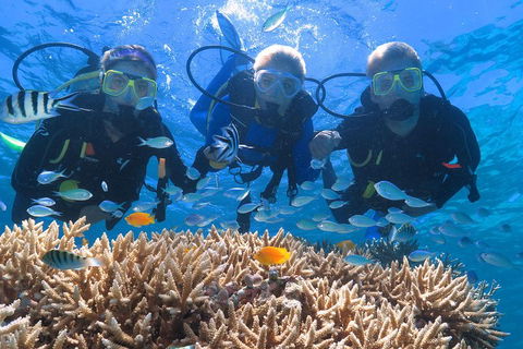 Quicksilver Outer Great Barrier Reef Snorkel Cruise From Port Douglas - Lightning Ridge Tourism 4