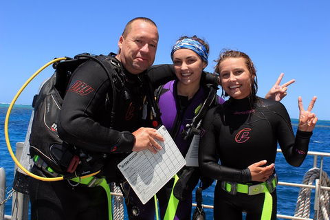 Quicksilver Dive 4 Day PADI Learn To Dive Course - Lightning Ridge Tourism 0