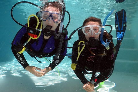 Quicksilver Dive 4 Day PADI Learn To Dive Course - Lightning Ridge Tourism 2