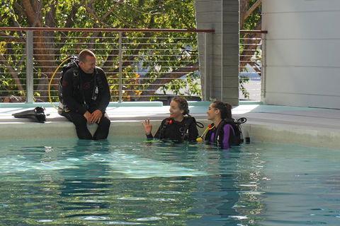 Quicksilver Dive 4 Day PADI Learn To Dive Course - Lightning Ridge Tourism 3