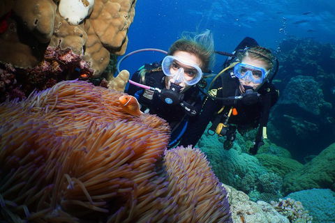 Quicksilver Dive 4 Day PADI Learn To Dive Course - Lightning Ridge Tourism 4