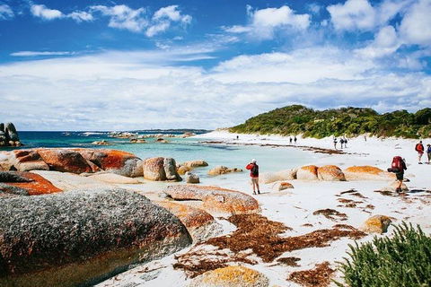 Wineglass Bay Private Charter Service - Lightning Ridge Tourism 3