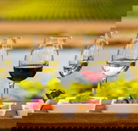 Launceston Private Charter Service - Lightning Ridge Tourism