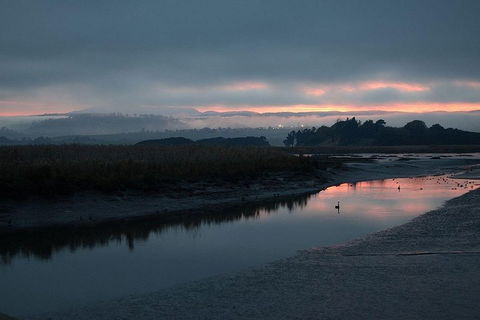 Launceston Private Charter Service - Lightning Ridge Tourism 1