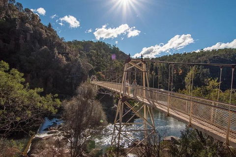 Launceston Private Charter Service - Lightning Ridge Tourism 5