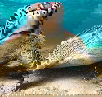 Sail Snorkel SUP  Kayak Charter Whitsundays - Lightning Ridge Tourism