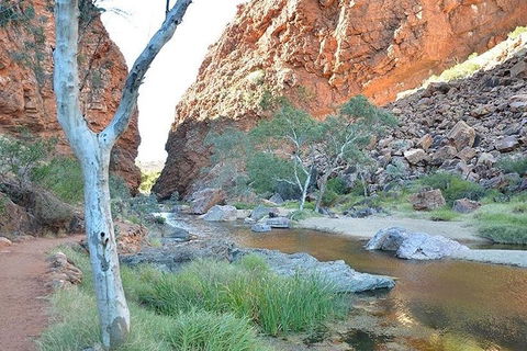 Alice Springs, Uluru Ayers Rock & Kings Canyon 8 Days Touring Package - Lightning Ridge Tourism 2