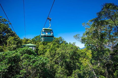 Skyrail Rainforest Cableway Day Trip From Cairns - Lightning Ridge Tourism 1