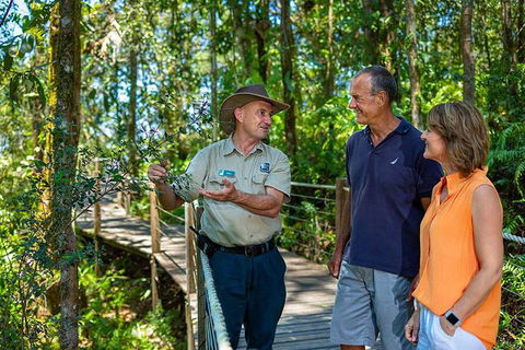 Kuranda Scenic Railway Day Trip From Cairns - Lightning Ridge Tourism 1