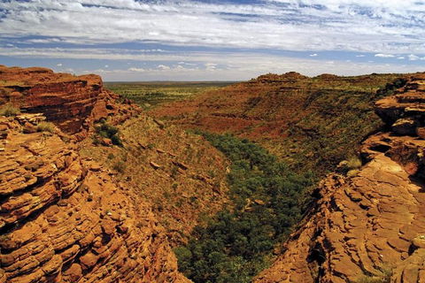 The Amazing Kings Canyon: 4-Hours Walking Tour And Hike - Lightning Ridge Tourism 3