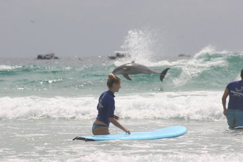 10-Day Surf Adventure From Sydney To Brisbane Including Coffs Harbour, Byron Bay And Gold Coast - Lightning Ridge Tourism 0
