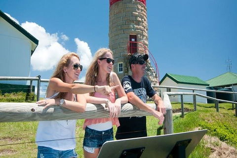 Full-Day Moreton Island 4x4 Sightseeing Tour - Lightning Ridge Tourism 3