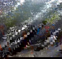 Active Day Tour One-Way from Launceston to Hobart via Wineglass Bay - Lightning Ridge Tourism