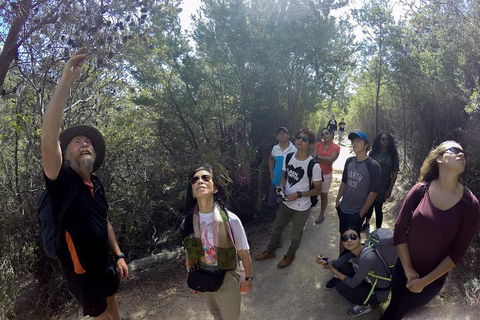 Active Day Tour One-Way From Launceston To Hobart Via Wineglass Bay - Lightning Ridge Tourism 0