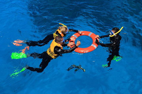 Great Barrier Reef Adventure From Cairns - Lightning Ridge Tourism 3