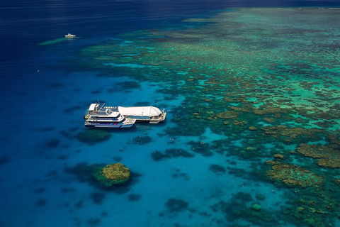 Great Barrier Reef Adventure From Cairns - Lightning Ridge Tourism 4