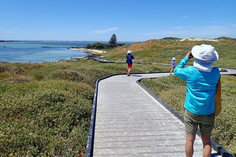 Penguin And Seal Islands Sea Kayaking Experience - Lightning Ridge Tourism 1
