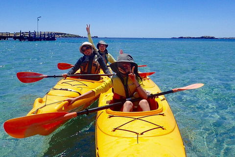 Penguin And Seal Islands Sea Kayaking Experience - Lightning Ridge Tourism 4