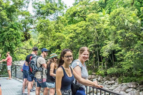 Cape Tribulation, Mossman Gorge, And Daintree Rainforest Day Trip From Cairns Or Port Douglas - Lightning Ridge Tourism 0