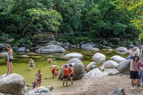 Cape Tribulation, Mossman Gorge, And Daintree Rainforest Day Trip From Cairns Or Port Douglas - Lightning Ridge Tourism 1
