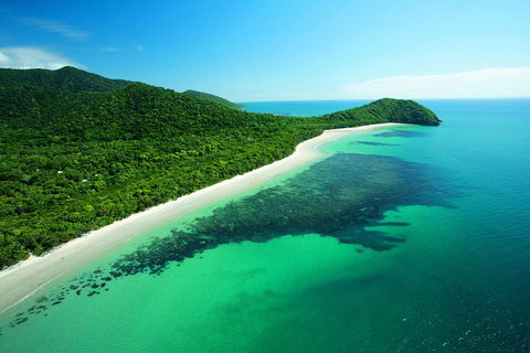 Cape Tribulation, Mossman Gorge, And Daintree Rainforest Day Trip From Cairns Or Port Douglas - Lightning Ridge Tourism 2