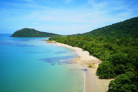Cape Tribulation, Mossman Gorge, And Daintree Rainforest Day Trip From Cairns Or Port Douglas - Lightning Ridge Tourism 5