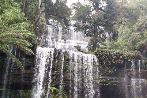 6-Day Hearty Tasmania Tour (Tasmania In A Circle) - Lightning Ridge Tourism 0