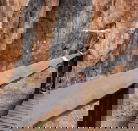 Chillagoe Caves and Outback Day Trip from Cairns - Lightning Ridge Tourism