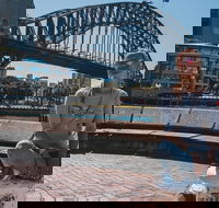 Sydney Private Tours by Locals 100 Personalized See the City Unscripted - Lightning Ridge Tourism