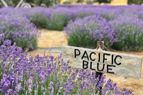 Kangaroo Island Food And Wine Trail Tour - Lightning Ridge Tourism 0