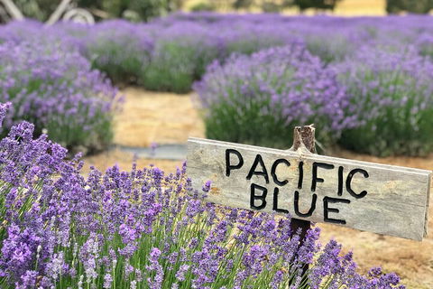 Kangaroo Island Half Day Food And Wine Trail Tour - Lightning Ridge Tourism 5