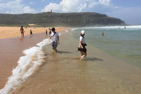 Small-Group Sydney's Northern Beaches And Ku-ring-gai National Park Bus Tour - Lightning Ridge Tourism 5