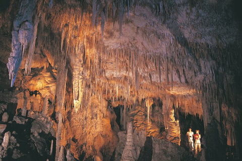 4 Day Tour: Albany, Margaret River, Valley Of The Giants TreeTop Walk From Perth - Lightning Ridge Tourism 1