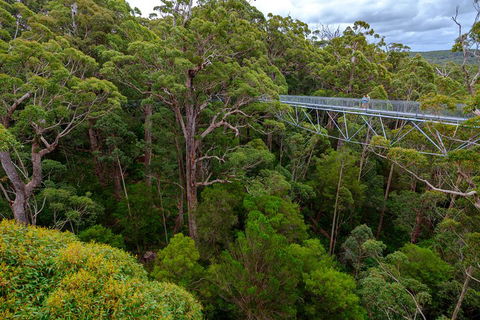 4 Day Tour: Albany, Margaret River, Valley Of The Giants TreeTop Walk From Perth - Lightning Ridge Tourism 4