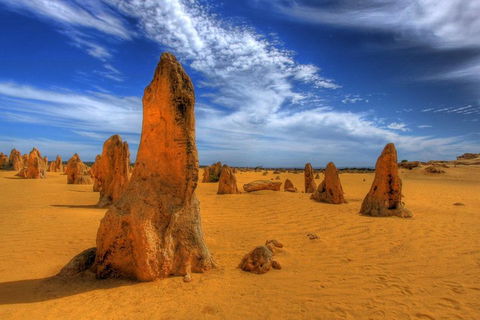 Pinnacles Desert & New Norcia Day Tour From Perth - Lightning Ridge Tourism 0