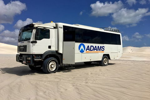 Pinnacles Desert, Koalas And Sandboarding 4WD Day Tour From Perth - Lightning Ridge Tourism 2