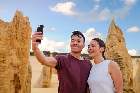 Pinnacles Desert, Koalas And Sandboarding 4WD Day Tour From Perth - Lightning Ridge Tourism 4