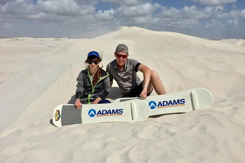 Full Day Pinnacle Desert Explorer From Perth Including Hillarys And Lancelin Sandboarding - Lightning Ridge Tourism 4