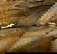 2-Day Wave Rock York Wildflowers  Aboriginal Experience - Lightning Ridge Tourism