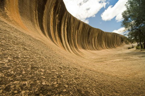 2-Day Wave Rock, York, Wildflowers & Aboriginal Experience - Lightning Ridge Tourism 1