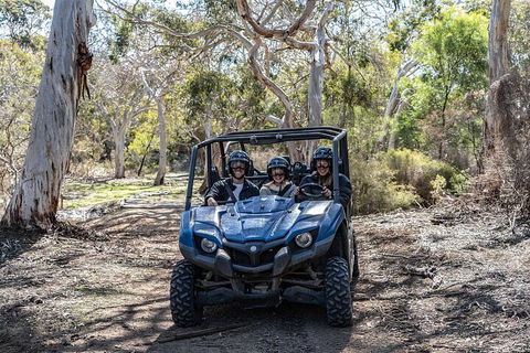 Small-Group Buggy Tour At Little Sahara With Guide - Lightning Ridge Tourism 0