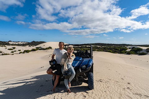 Small-Group Buggy Tour At Little Sahara With Guide - Lightning Ridge Tourism 2