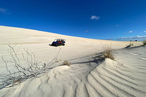 Small-Group Buggy Tour At Little Sahara With Guide - Lightning Ridge Tourism 3