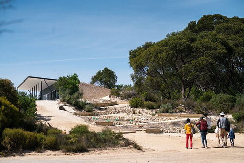 2-Hour Koala Walking Tour In Kangaroo Island - Lightning Ridge Tourism 3