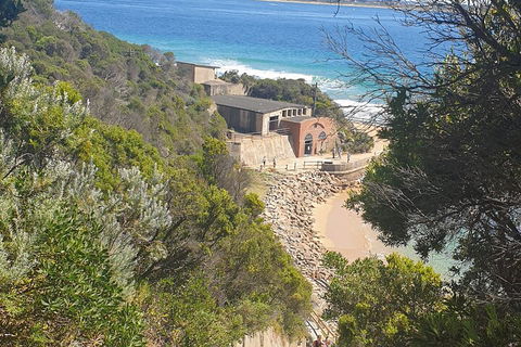 Fort Nepean And Quarantine Station Tour - Lightning Ridge Tourism 4