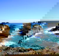 Great Ocean Road Small-Group Ecotour from Melbourne - Lightning Ridge Tourism