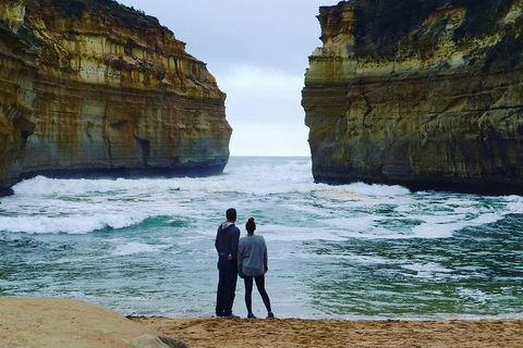 Great Ocean Road Small-Group Ecotour From Melbourne - Lightning Ridge Tourism 1